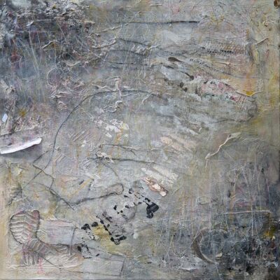 Einstein Dream World. Abstract textured artwork with subtle colors, organic shapes, and dynamic black accents.